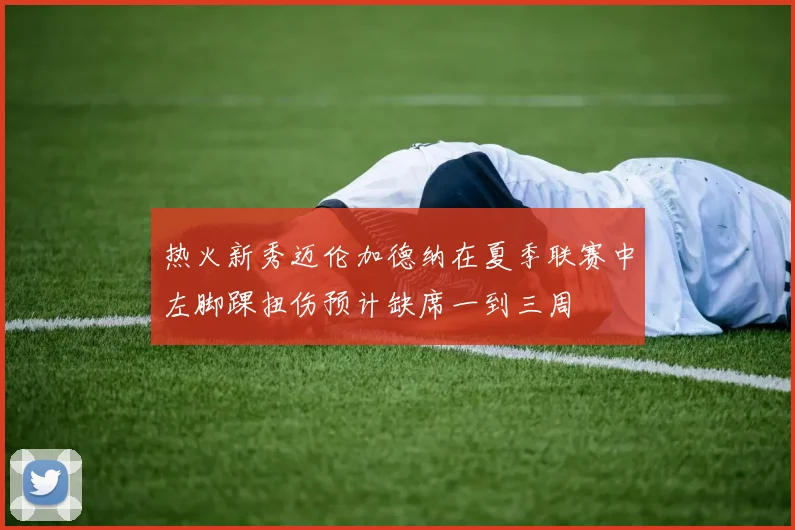 热火新秀迈伦加德纳在夏季联赛中左脚踝扭伤预计缺席一到三周